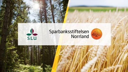 SLU Umeå and Sparbanksstiftelsen Norrland's award for sustainable innovations.