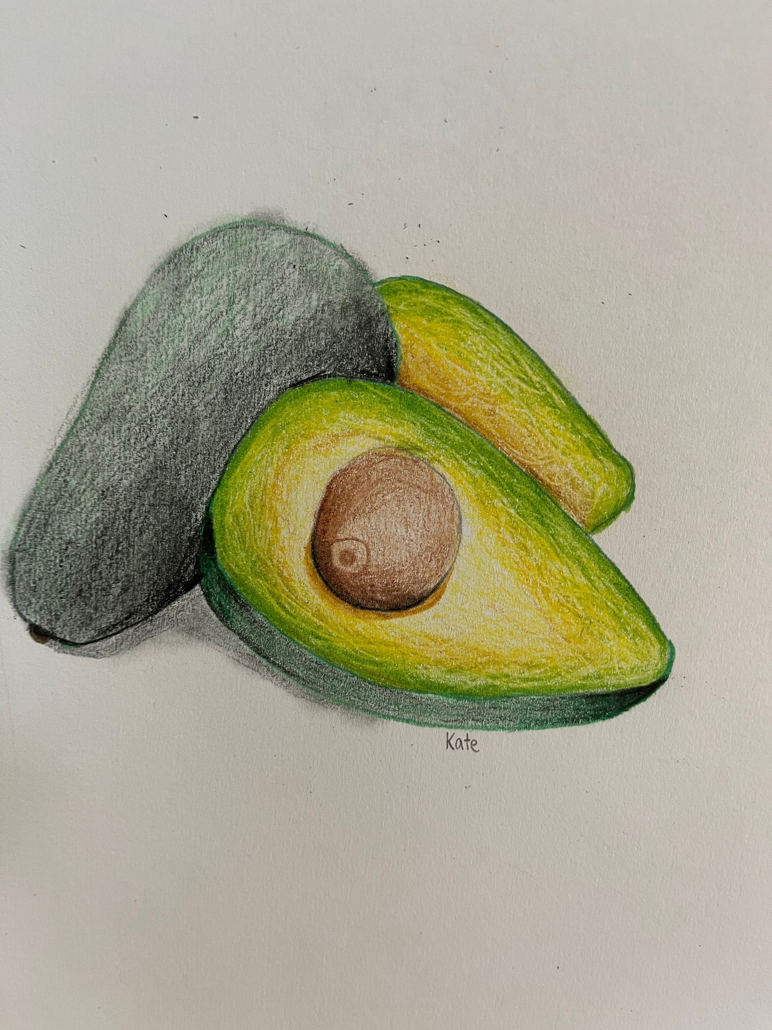 Avocado Realistic Drawing With Colored Pencils Small Online Class for