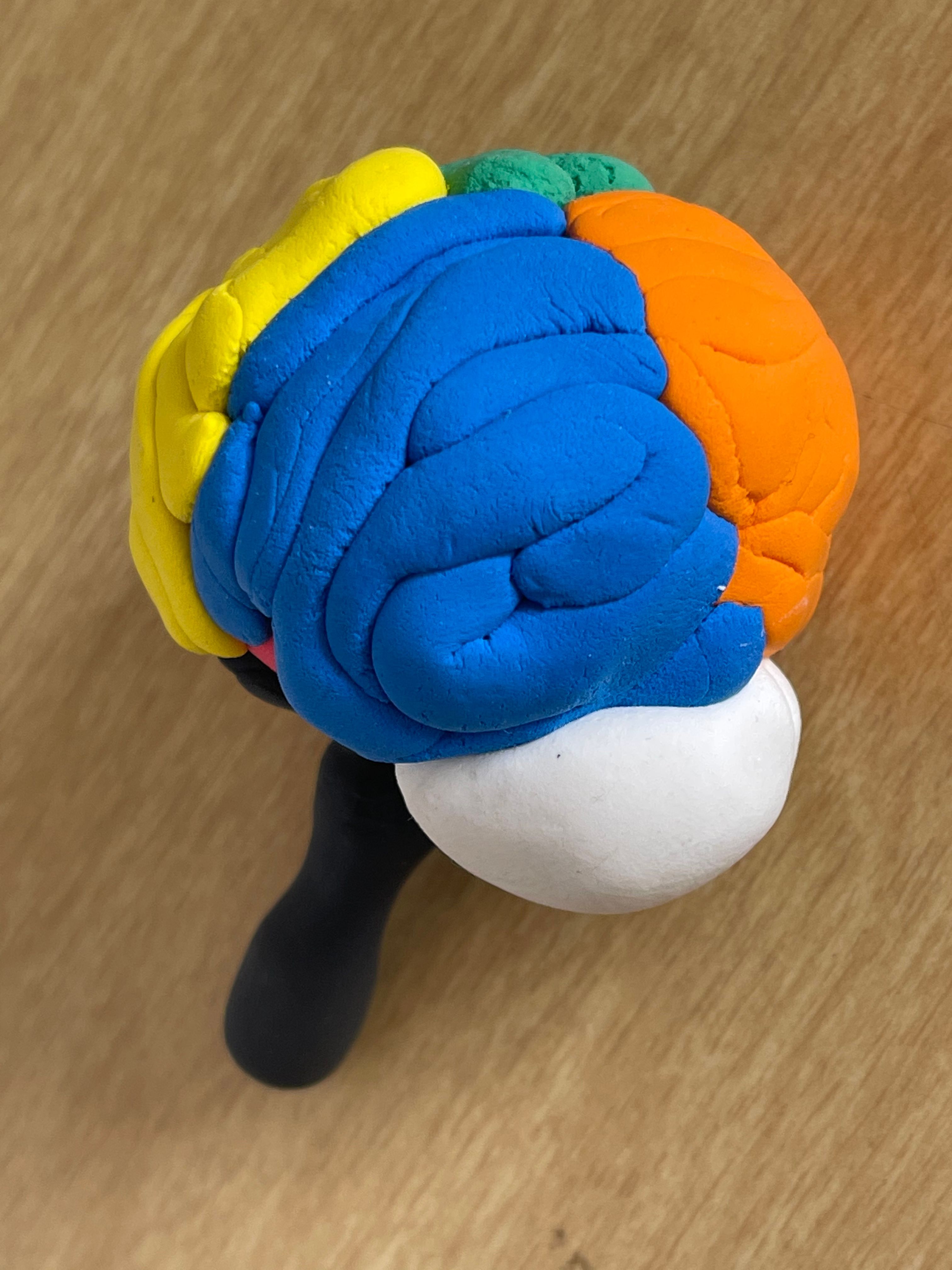 Brain Play Doh Model