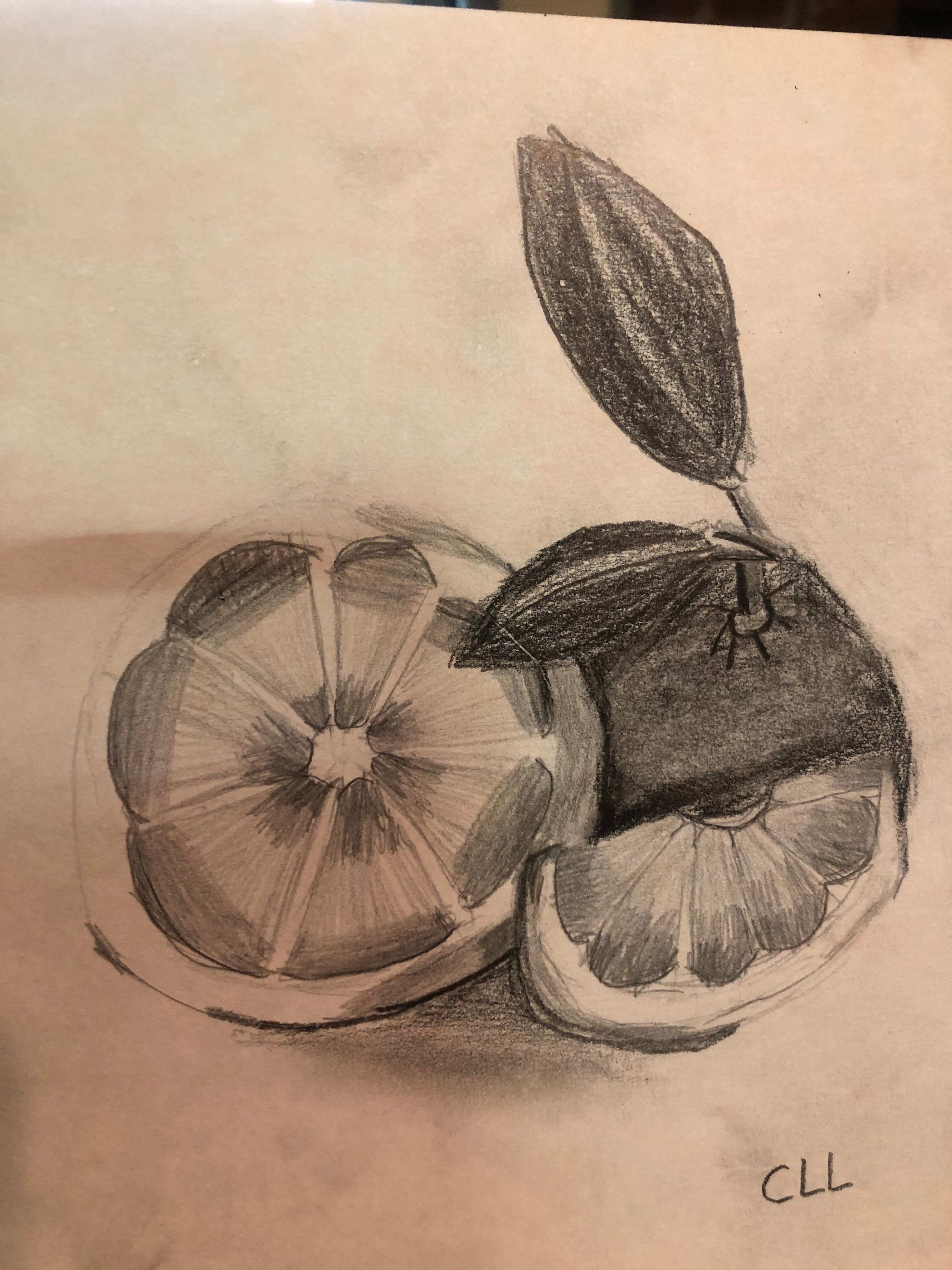 Fruit Drawing/Pencil Sketching and Shading | Small Online Class for ...