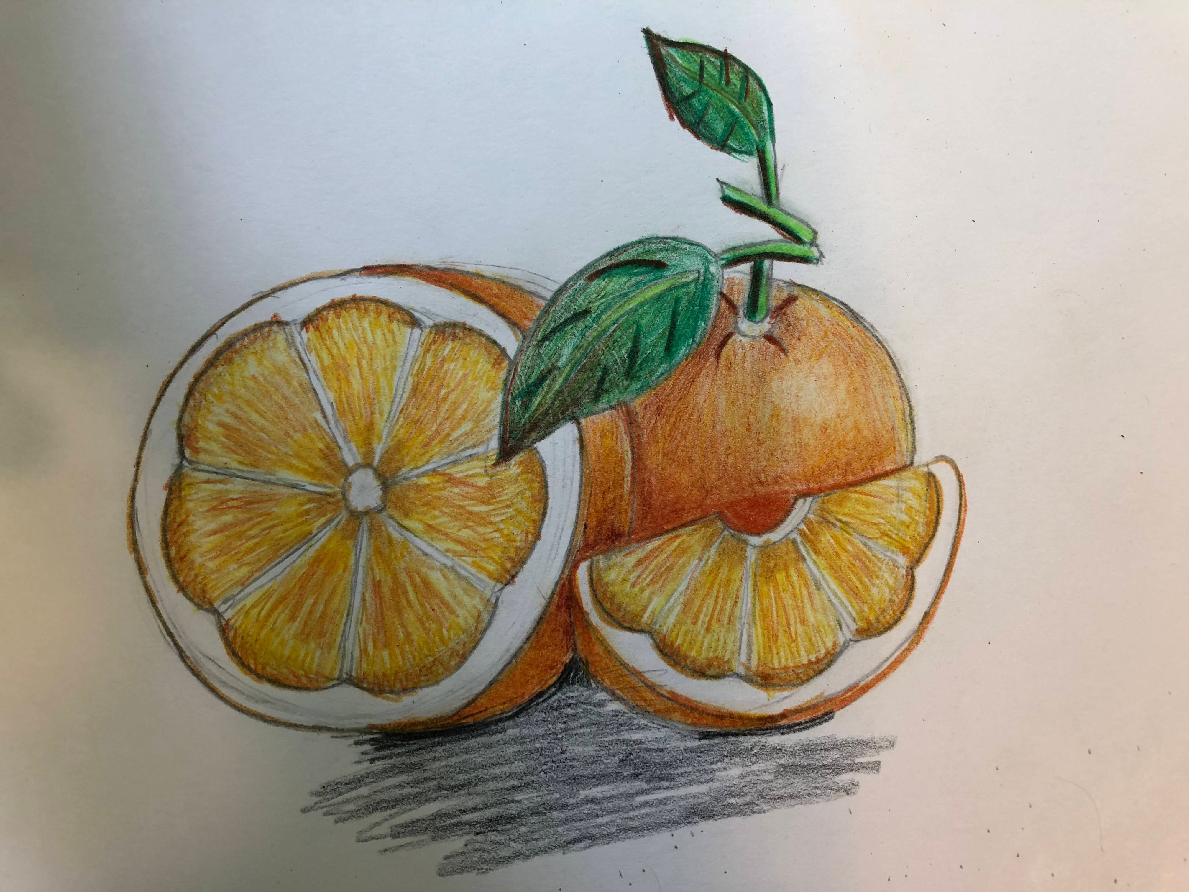 How to Draw and Shade Realistic Fruit Using Colored Pencils Small