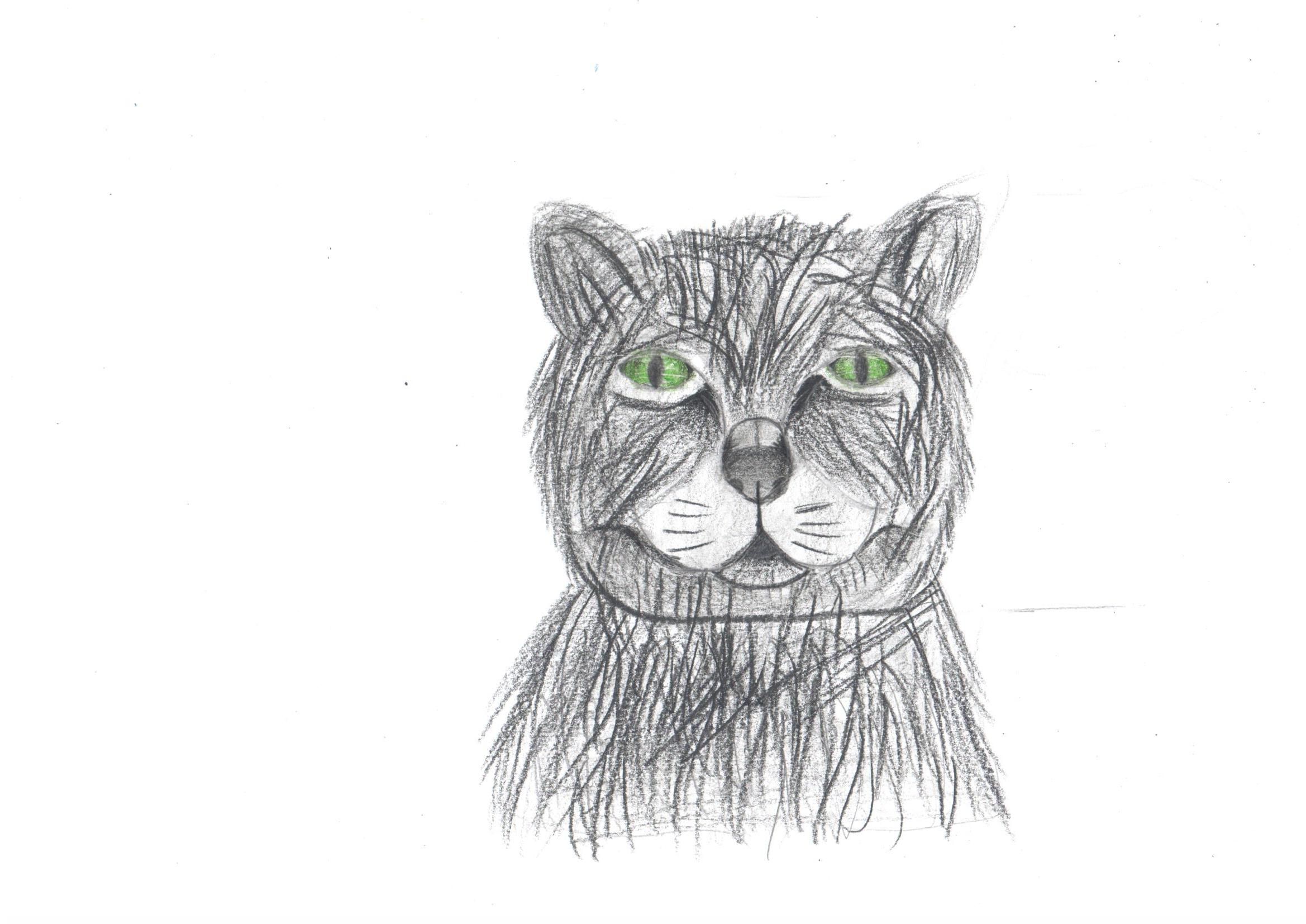 How to Draw a Cat With Colored Pencils Small Online Class for Ages 8 