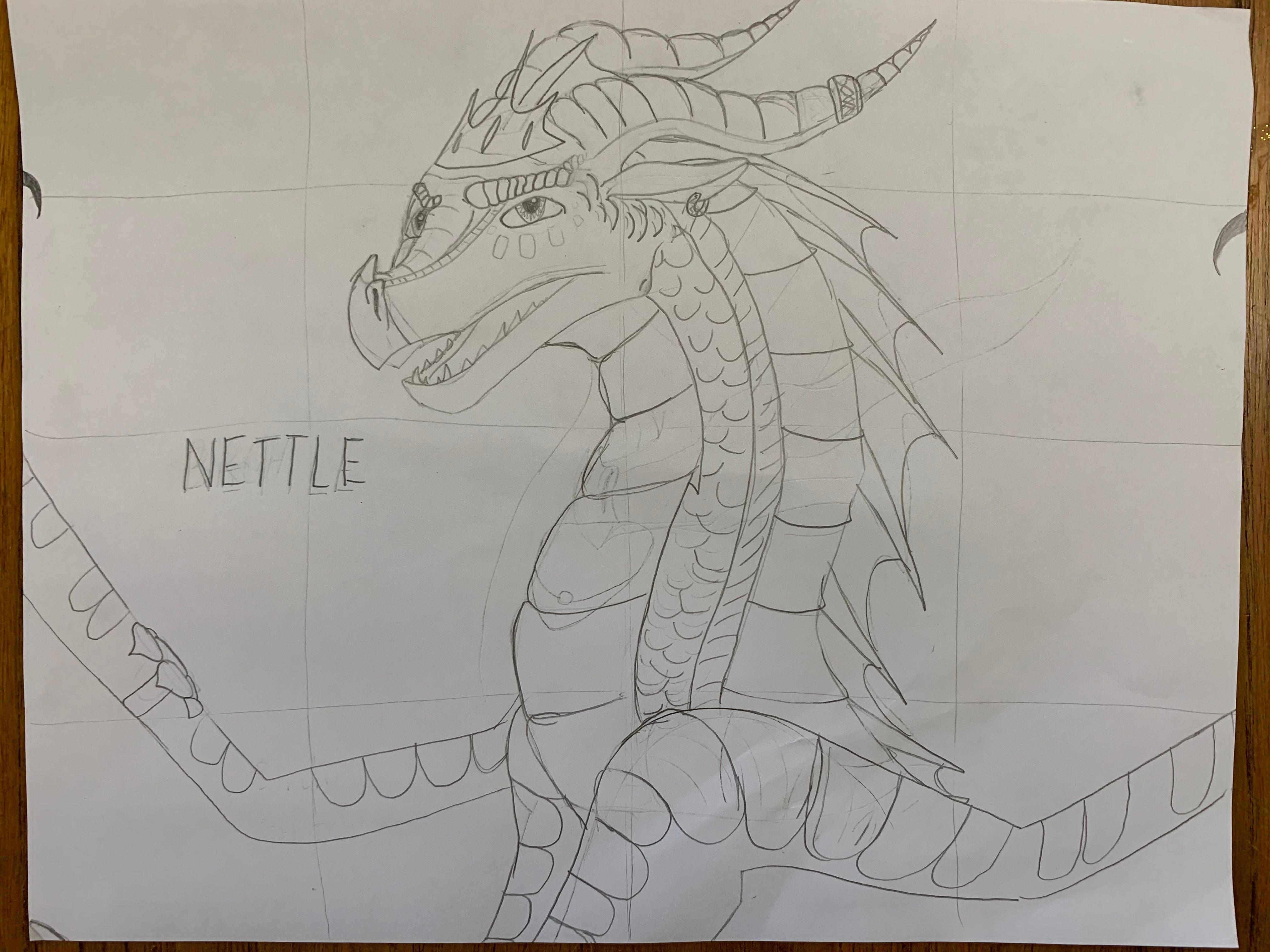 Learn to Draw Wings of Fire Dragons Small Online Class for Ages 914