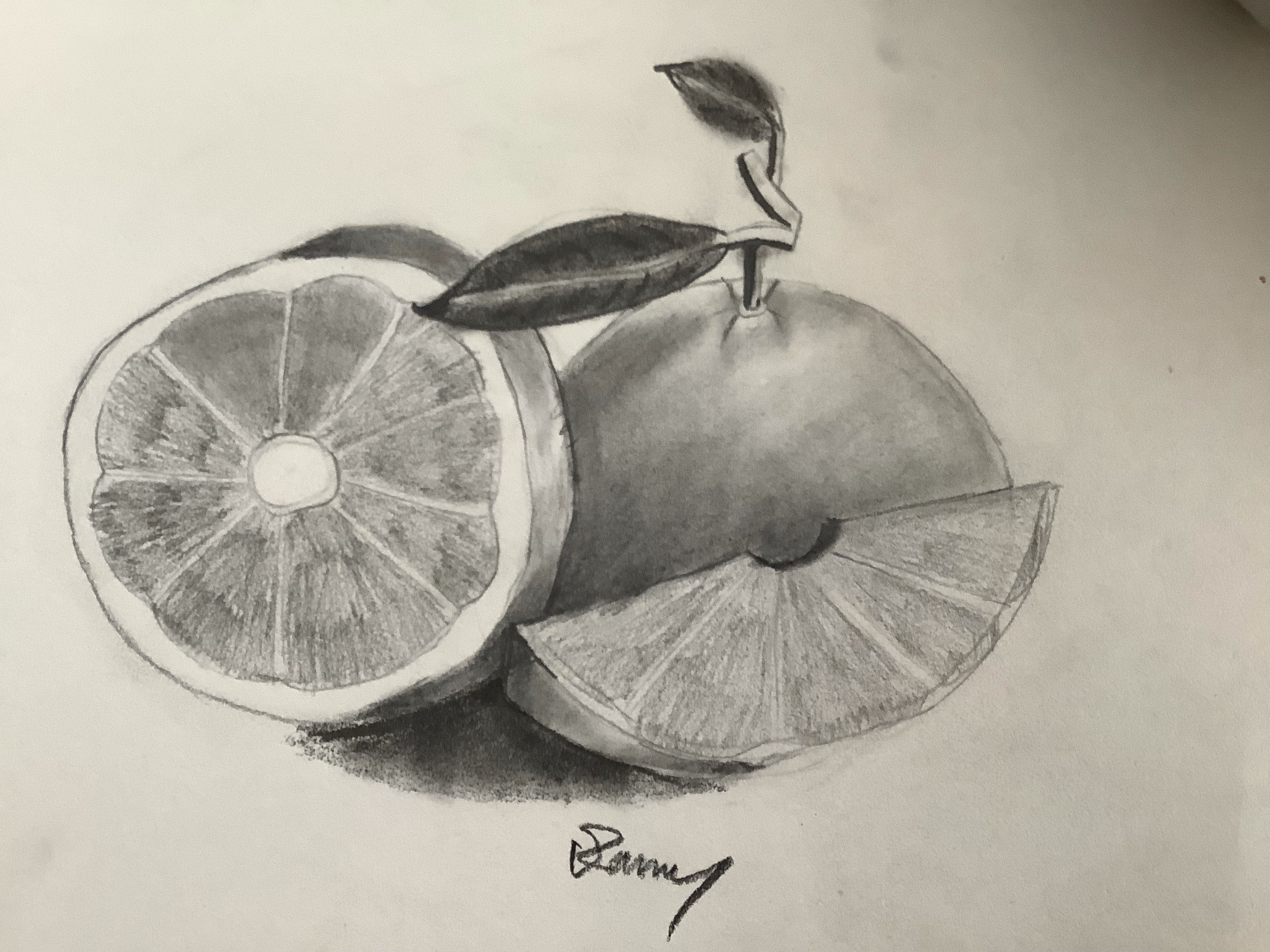 Fruit Drawing/Pencil Sketching and Shading Small Online Class for