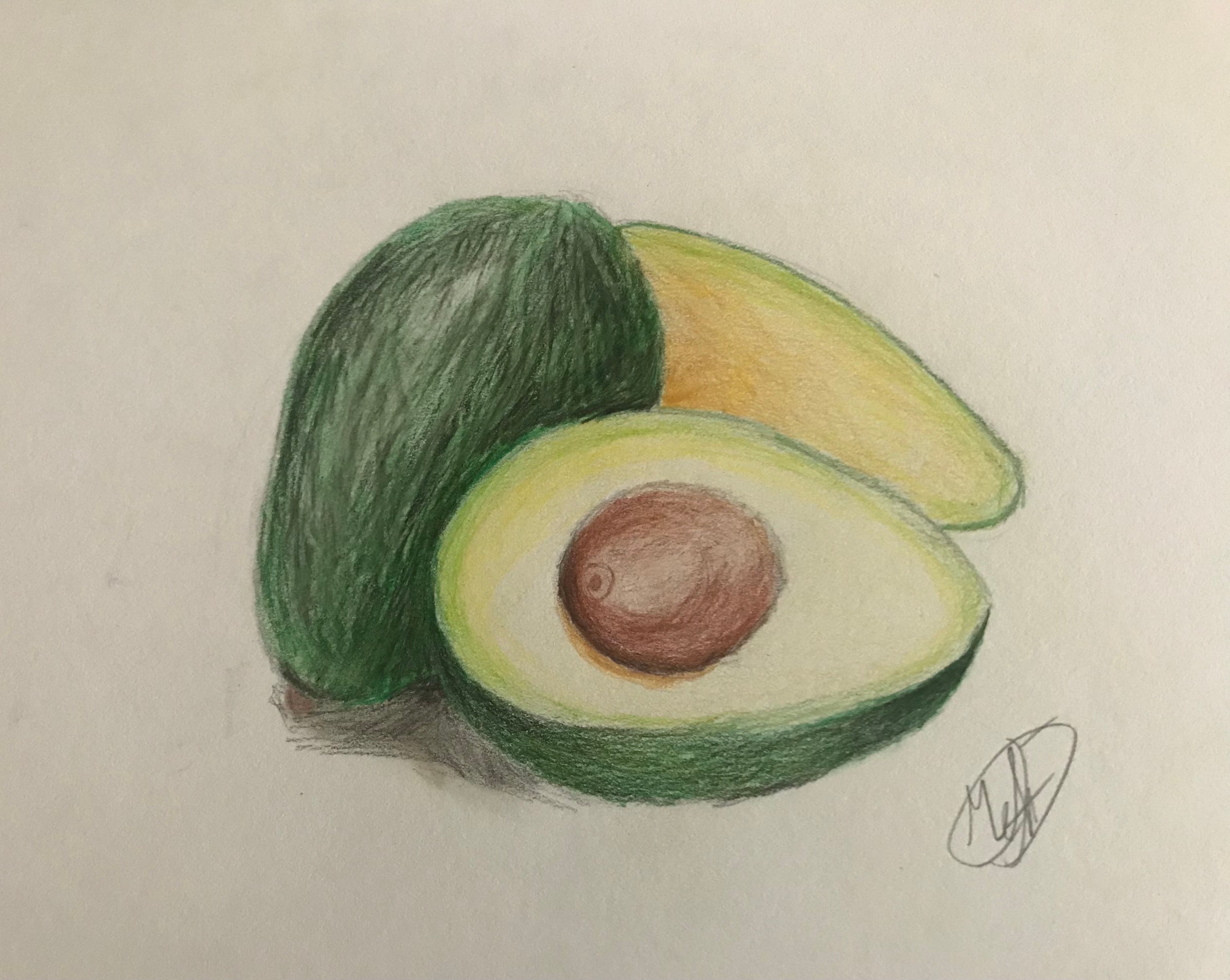 Avocado Realistic Drawing With Colored Pencils Small Online Class for