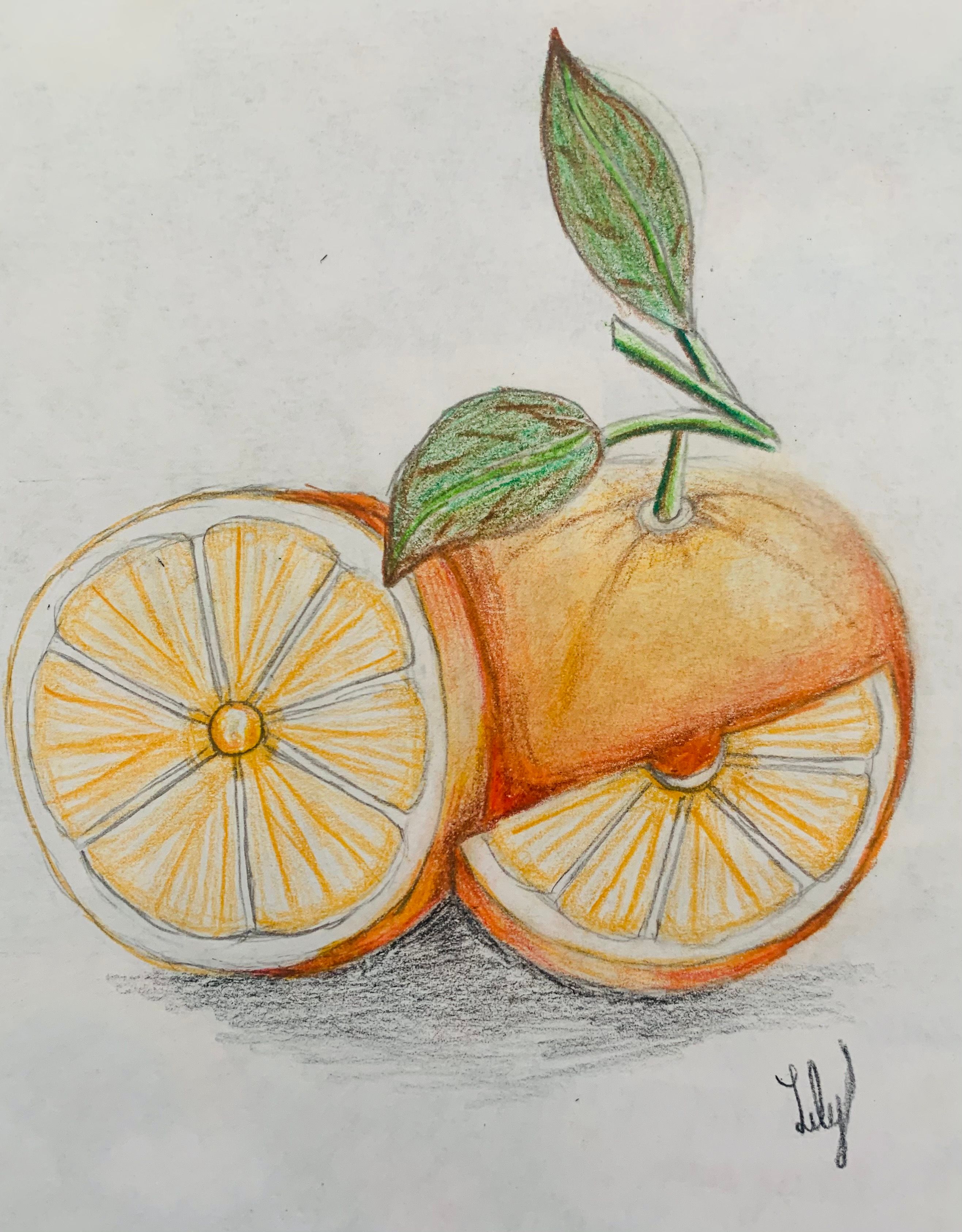 How to Draw and Shade Realistic Fruit Using Colored Pencils Small