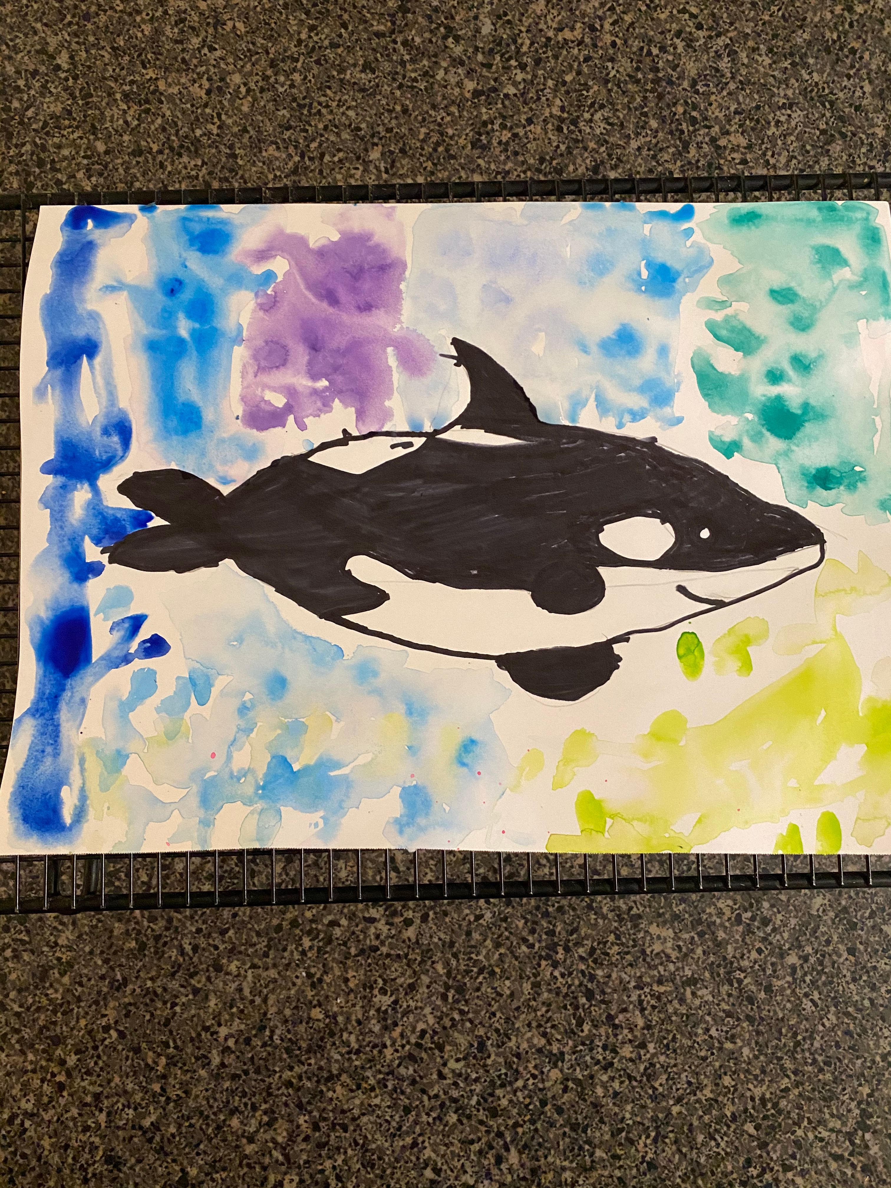 Watercolor Expressions Orcas Small Online Class For Ages 9 13 Outschool - orca roblox galaxy