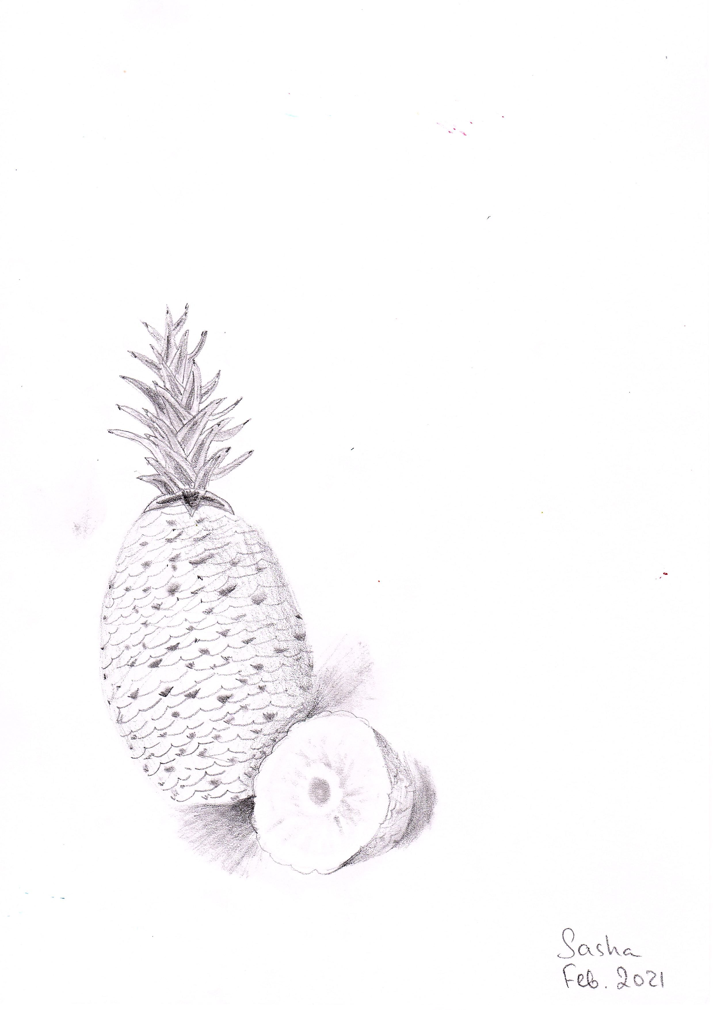 Pineapple Drawing/ Pencil Shading | Small Online Class for Ages 9-14 ...