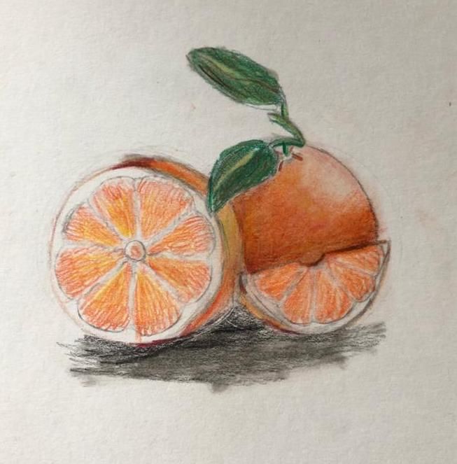 How to Draw and Shade Realistic Fruit Using Colored Pencils | Small ...