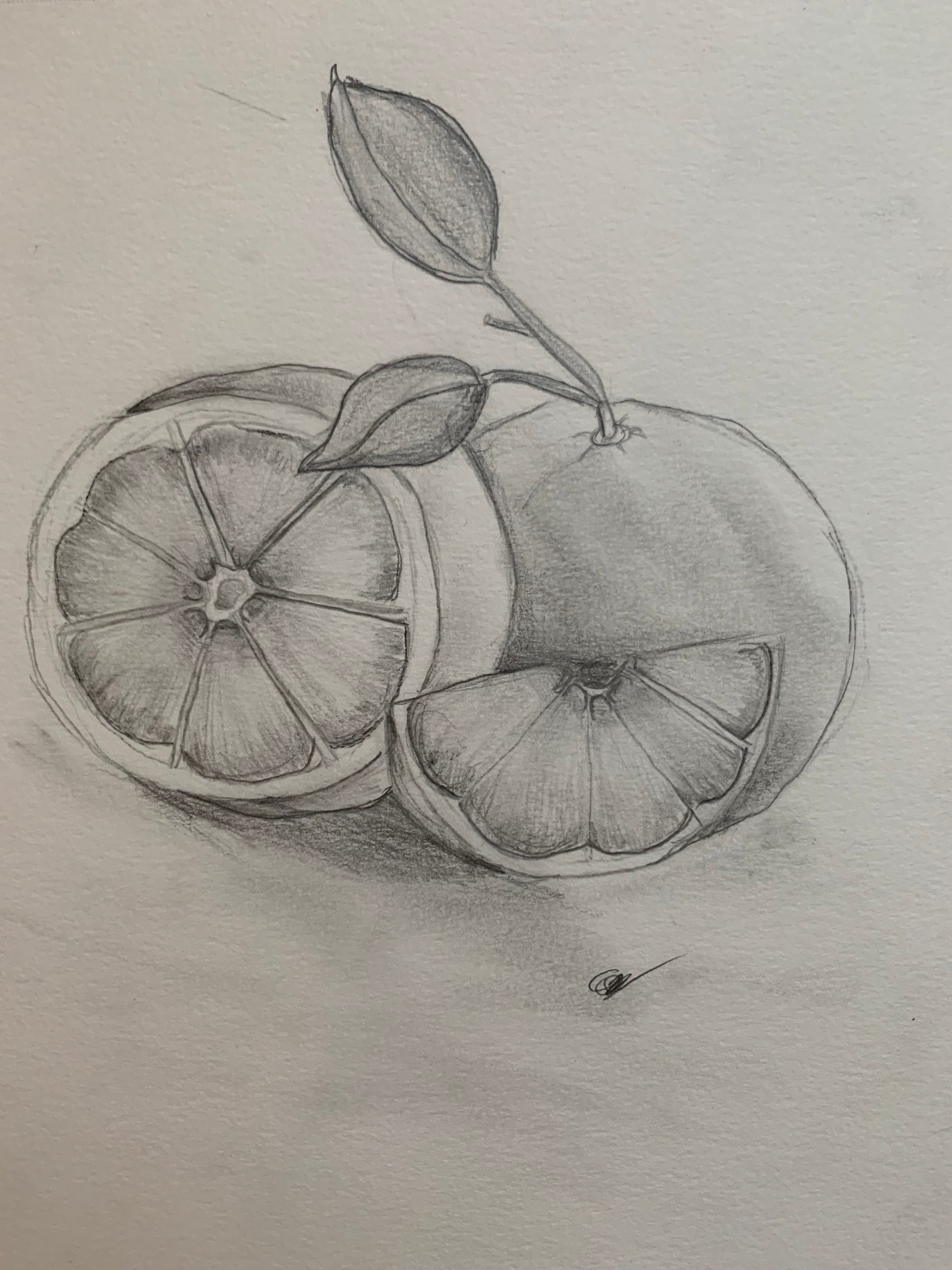 Fruit Drawing/Pencil Sketching and Shading | Small Online Class for ...