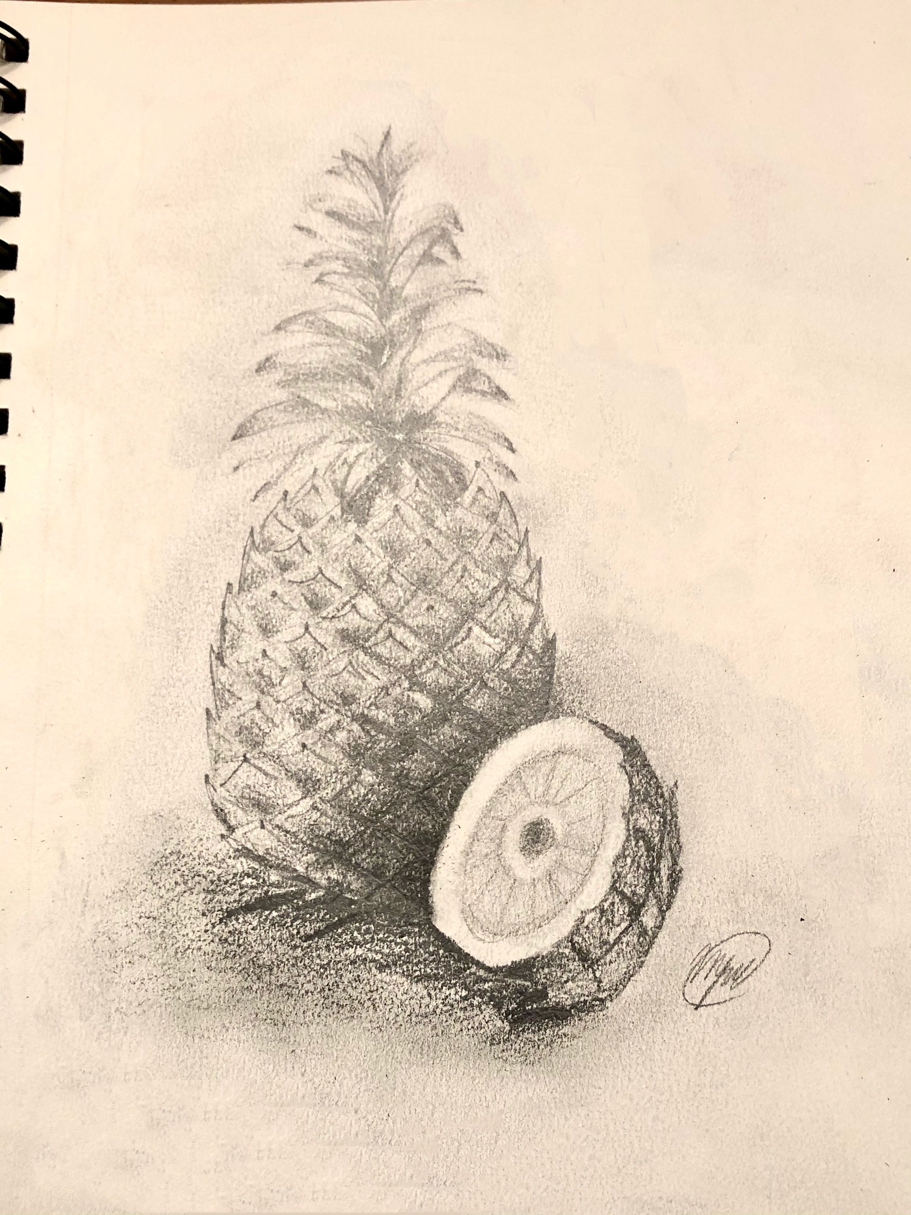 Pineapple Drawing  Pencil Shading 