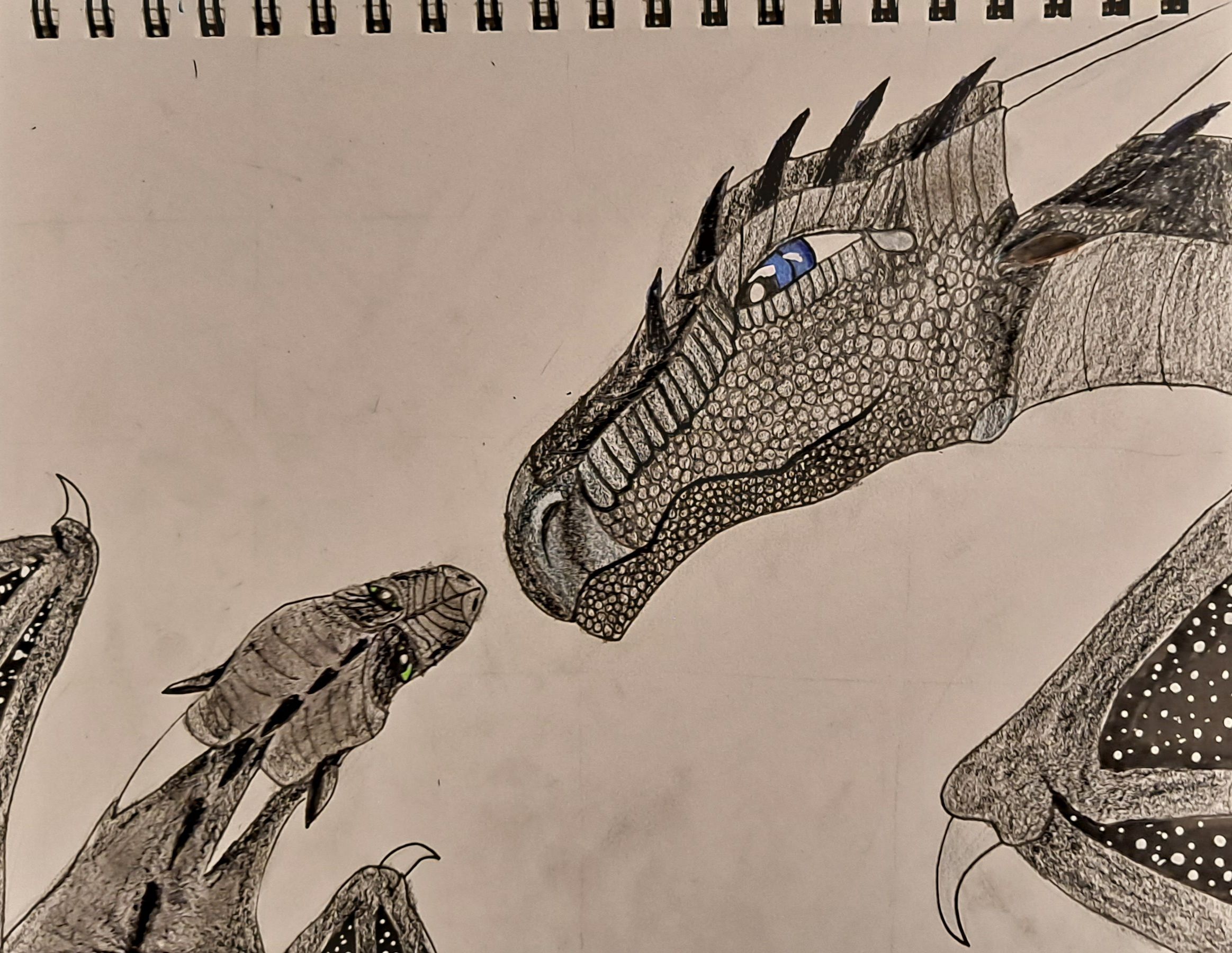 Featured image of post View 26 Wings Of Fire Drawing Easy