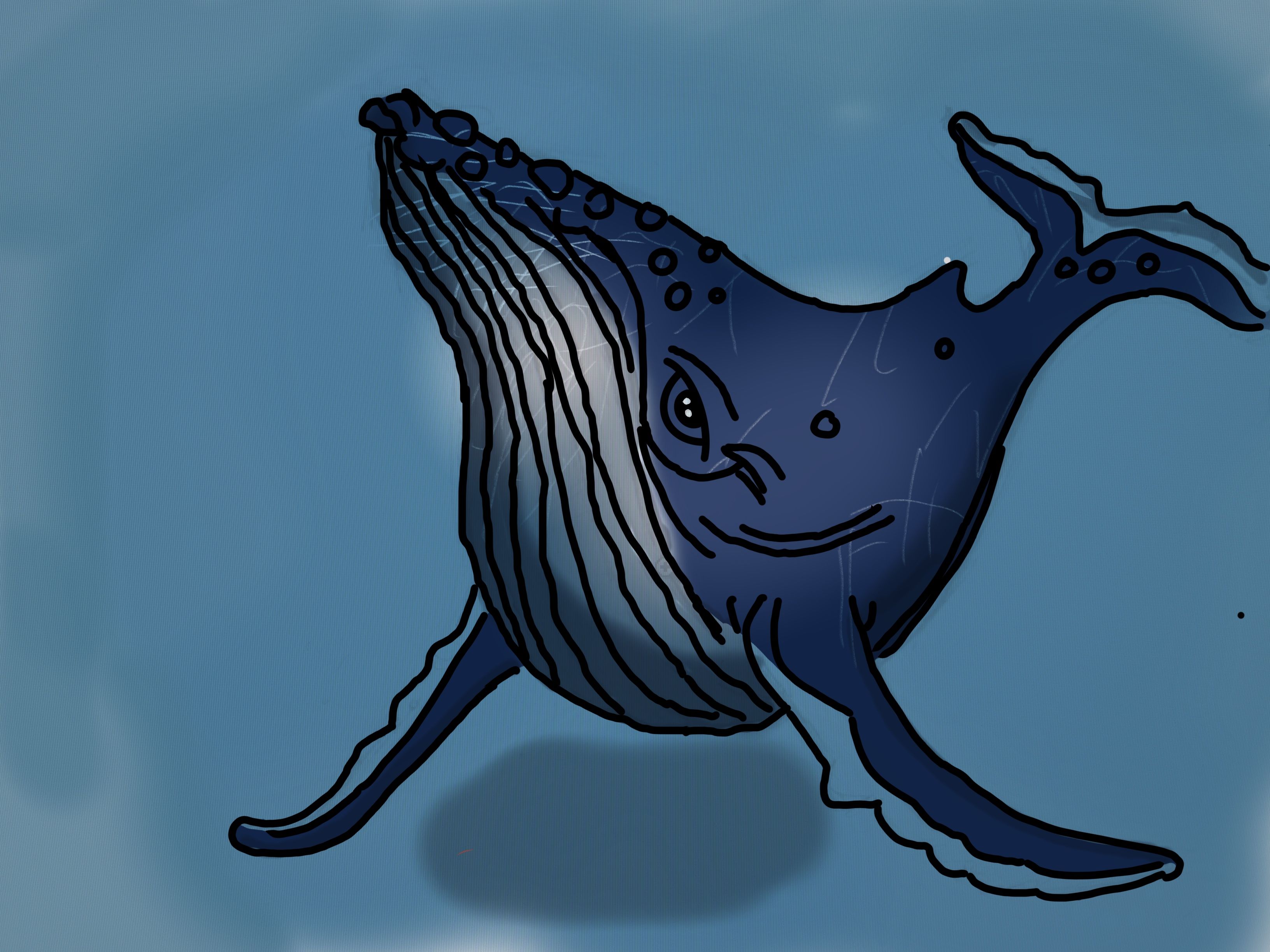 How About That? Drawing a Humpback Whale with Procreate | Small Online