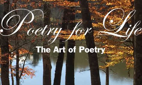 Poetry For Life The Art Of Poetry Small Online Class For Ages