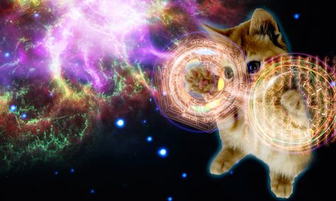 meme tastic animated gif workshop on adobe photoshop small online class for ages 13 18