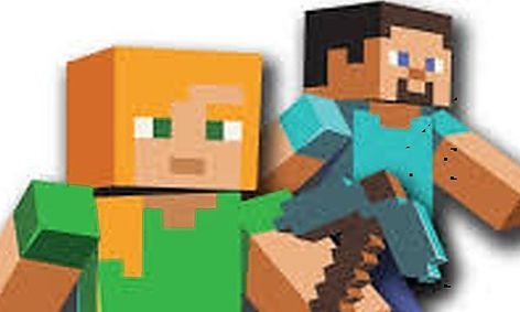 Minecraft Fact Or Opinion Section 1 Small Online Class For