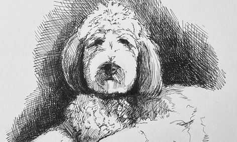 Pen and Ink Drawing Camp  Small Online Class for Ages 12-12