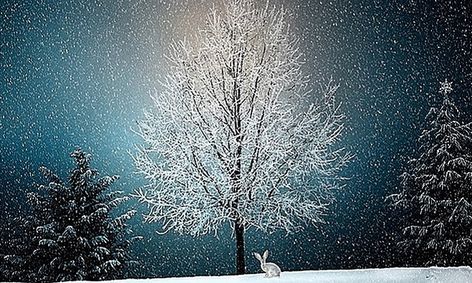 Painting Through The Wintery Wonderland Of Christmas For Older
