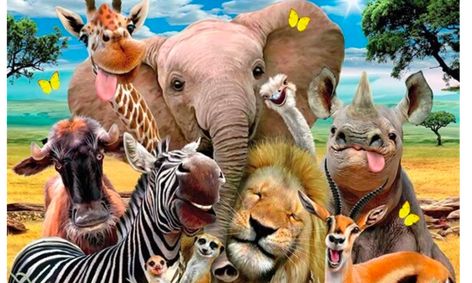 Mystery Box Challenge Wild Animals Small Online Class For Ages 6 11 Outschool
