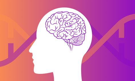 Psychology And You Small Online Class For Ages 15 18 Outschool