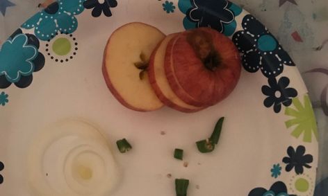Vegetable Calculus Small Online Class For Ages 16 18 Outschool