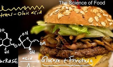 Edible Biochemistry The Science Behind Food Small Online Class