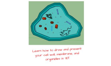 Build A 3d Cell Model In Sketchup Level 2 Small Online Class