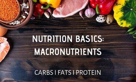 Nutrition Basics Macronutrients Small Online Class For Ages 12 17 Outschool