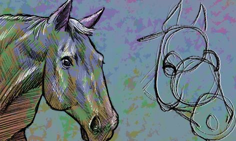 Drawing Horses And Unicorns Small Online Class For Ages 11 15