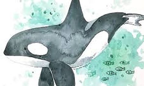 Watercolor Whale Shark Snack Cup Small Online Class For Ages