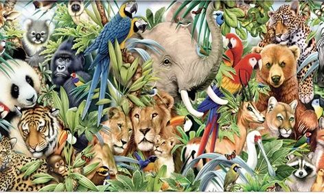 Animal Groups What Do You Call A Group Of Small Online Class
