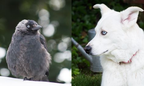 All About Animals Beginners Biology Small Online Class For Ages 5 8 Outschool