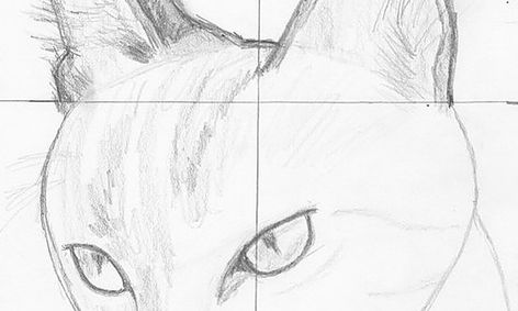Manga Cat Class 2 Facial Expressions And More Small Online