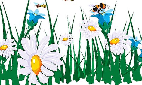 grammar sort spring edition nouns adjectives and verbs small online class for ages 7 9