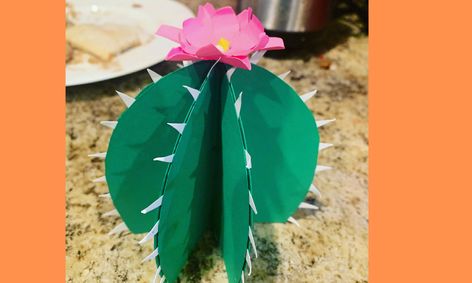 Craft Time Make A 3d Paper Cactus Small Online Class For Ages 8