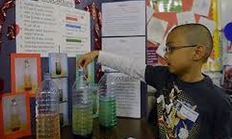 Calling All Scientists Science Fair Small Online Class For Ages