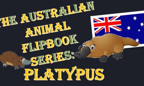Australian Animal Flip Book Series Platypus Small Online Class