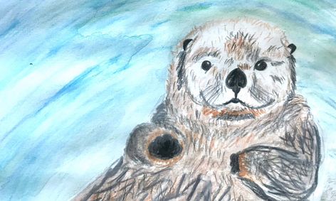 Let S Draw And Paint Sea Otters Small Online Class For Ages 11 15 Outschool