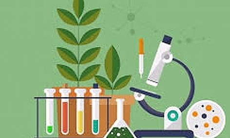 Basics Of Biology Small Online Class For Ages 12 16 Outschool