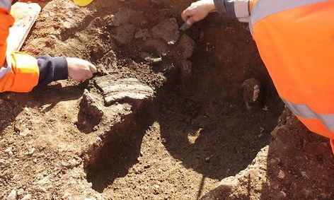 Archaeology Artifacts Excavation And Stewardship Small Online Class For Ages 7 11 Outschool