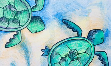 Draw It Sea Turtles Small Online Class For Ages 7 12 Outschool