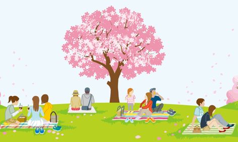 Learn About Japan S Cherry Blossom Festival Through Art Origami