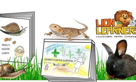 easter animal story time featuring real lizard snail rabbit small online class for ages 3 6