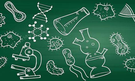 High School Biology Part 1 Of 3 Small Online Class For Ages 12