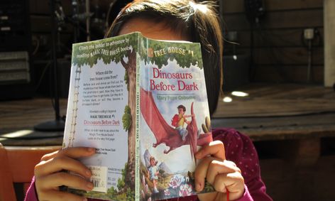 Magic Tree House Book Club Small Online Class For Ages 6 10 Outschool