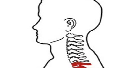 An Introduction To Kinesiology And Biomechanics Small Online