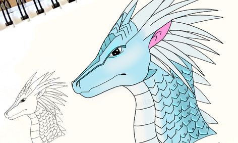 Drawings Of Dragons With Color Draw And Color An Icewing Dragon Snowfall Inspired From Wings Of Fire Novel Small Online Class For Ages 7 12 Outschool draw and color an icewing dragon snowfall inspired from wings of fire novel small online class for ages 7 12