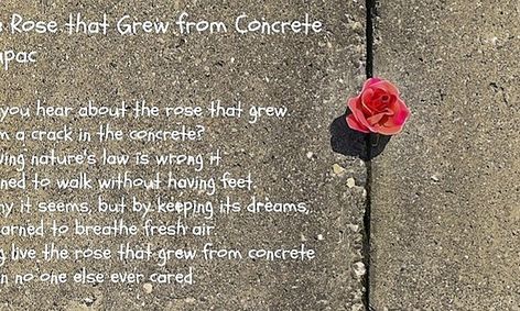 Learning Poetic Techniques With Tupac Small Online Class For Ages 12 16 Outschool