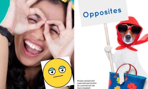 Opposite Words To Know Small Online Class For Ages 4 9 Outschool