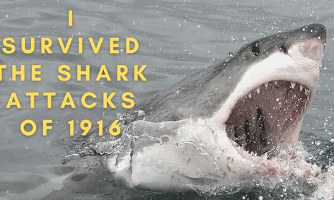 I Survived: The Shark Attacks of 1916 Book Club | Small Online Class